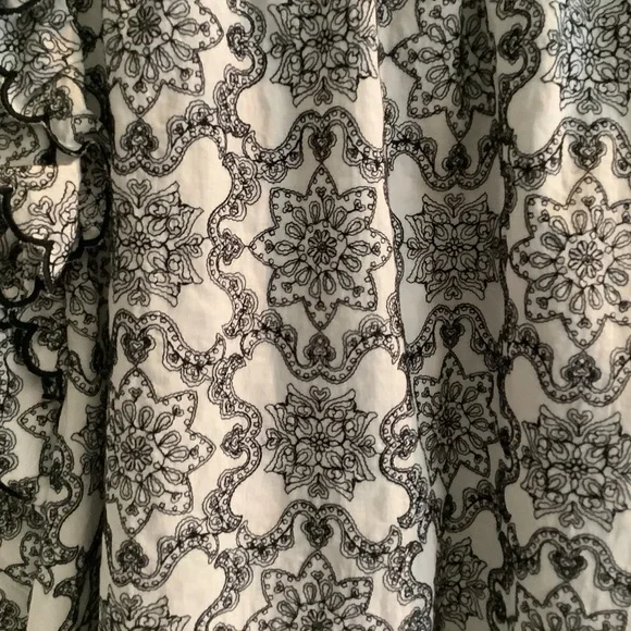 ANTHROPOLOGIE Elegant Embroidered   Black and White Ruffle Top
Medium - Picture 6 of 9